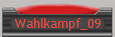 Wahlkampf_09